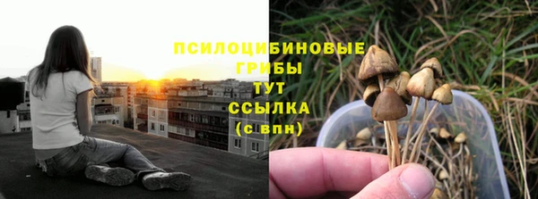 ешки Богданович