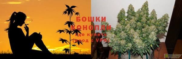 ешки Богданович
