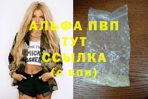 ешки Богданович