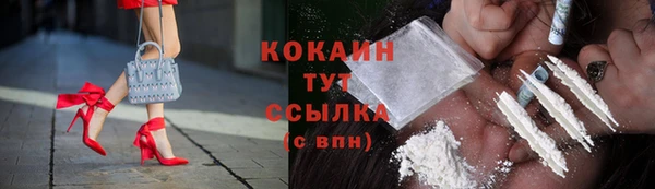 ешки Богданович